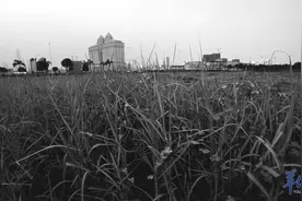 相·见 | 无意间，我拍了一部珠江新城“成长史”图片