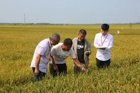 黑龙江聚焦群众急难愁盼 点题整治行业乱象图片