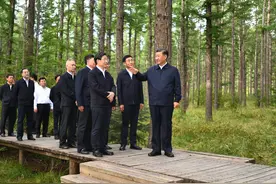 “塞罕坝精神”知多少图片