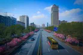 哈市道外区下月启动这些街路车行道与人行道改造图片