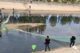 官方回应永济渠临河段河水发黑发臭图片