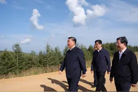 第1视点丨塞罕坝，书写新时代绿色传奇图片