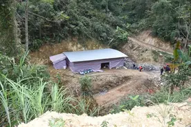 “养猪场”为何建在深山中？隐瞒背后牵连数桩案件……图片