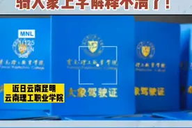 云南一高校给新生发大象驾驶证：不能骑，只是文创产品图片