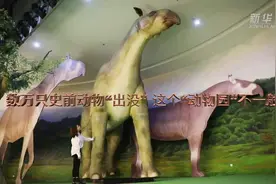 远古发现丨数万只史前动物“出没”这个“动物园”不一般图片