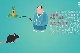 鼠疫可防可治可控，不要慌！视频封面
