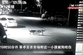 山东莘县一小孩被两只狗扑倒撕咬，警方：小孩已送医，事件正在调查中图片