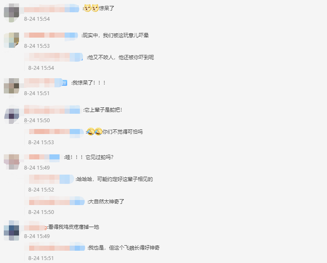 云南惊现蛇纹巨型飞蛾，展翅25厘米，两翼犹如两条大蛇，网友：我惊呆了