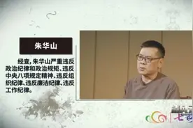 教育厅副厅长花110万买车后，为何要弄掉车标偷偷开？图片