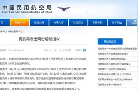 民航局向埃及航空和国航两航班发出熔断指令图片