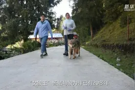 新疆“女狼王”与狼为伴 深山峡谷守护狼群图片
