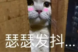 恐怖视角！女子上厕所发现门缝有一双眼睛……手机全拍下了图片