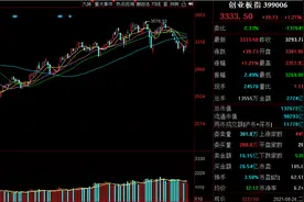 创业板注册制一周年盘点：成就哪些牛股？这些板块个股最容易涨停图片