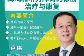 耳鸣=耳聋吗？快速学习耳鸣和听力障碍的诊断、治疗与康复图片