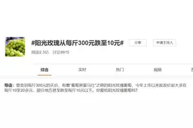 葡萄，匍匐！“阳光玫瑰从每斤300元跌至10元”登上热搜，网友还不满意图片