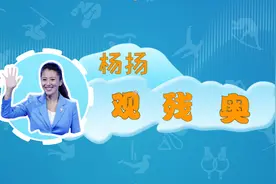 全球连线｜杨扬观残奥：用嘴打球的乒乓大叔，我们采访了他图片