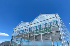拼多多二季度营收230亿元，同比增长89%图片