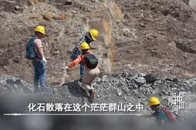 目前全球唯一孤品！他从“盲盒”里拆出6亿岁的“海绵宝宝”图片