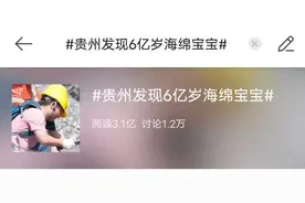 “拆盲盒”拆出六亿年前的“海绵宝宝”，究竟是个啥？图片