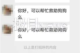 “南京90后情侣遗弃边牧”余波未平：两名救助者意外起冲突，警方介入调查图片
