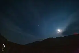 好像大地上的星星！快来看天目山仙人顶拍下的这些美丽图片