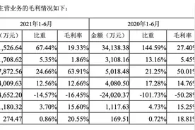 世联行：上半年代理收入降10%，逾三千亿销售额代理费未结图片