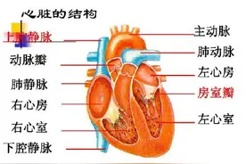 心脏有危险前的5个信号 出现一个就该去医院检查了图片