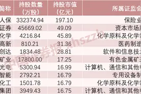 证金汇金二季度买了啥？这些领域后市机会大图片
