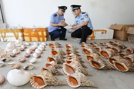破获危害珍贵、濒危野生动物案图片