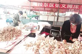草原鲜白蘑畅销海区市场图片