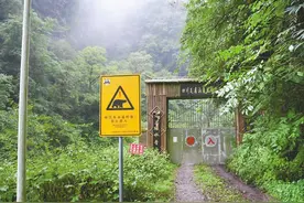 瓦屋山电站矿山退出保护区：瀑布重现、大熊猫登门...图片