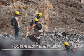 这个“盲盒”拆出了6亿岁“海绵宝宝”图片