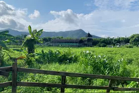 逃离城市和大厂，这个村里藏着一群反内卷的年轻人图片