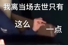别吃了，你的咖啡和巧克力里都有蟑螂图片