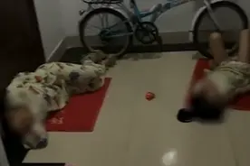 父母打麻将至凌晨未归俩孩子睡过道！邻居：孩子爸妈让我别管闲事图片
