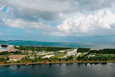 Hi视频丨来荣成樱花湖，品一品蓝天白云下的浪漫图片