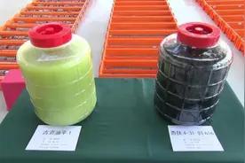 “大庆底下又找到一个大庆”！12.68亿吨！勘探取得重大突破的页岩油长什么样？图片