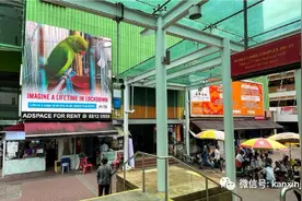 终生封锁！PETA激进广告亮相新加坡图片