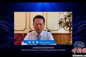 中缅企业家“云上”共推缅甸商机图片