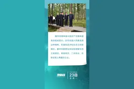 热解读｜从一棵树到一片“海”塞罕坝精神的“绿色接力”图片
