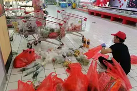 “铁脚板”+“小推车”+“男保姆”，扬州竹西街道志愿团队合力让民生保障再提速图片