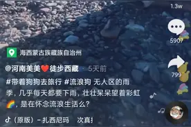 “河南美美”徒步西藏意外身亡，追求“诗和远方”勿忘安全图片