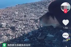 “河南美美”徒步西藏意外身亡，追求“诗和远方”勿忘安全图片