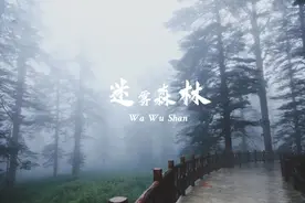 道家一语 | 三十辐共一毂（gǔ），当其无，有车之用图片