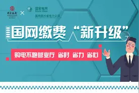 国网缴费“新升级”企业缴电费的那些痛在这里被治愈了图片