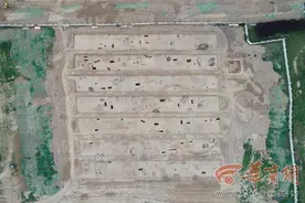 秦汉新城发现距今5000年仰韶晚期丰富遗存 出土遗物500余件图片