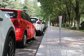 最高罚款10000元 青岛胶州市加大不文明行为处罚力度图片