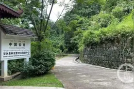 野象救助中心被举报残酷训练野象作商业表演 云南野象谷回应称不存在虐待图片