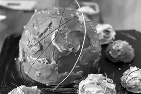 “95后”美女蛋糕师用创意征服粉丝芳心图片