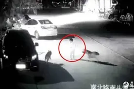 被狗撕咬小孩父亲发声：孩子脖子的伤深可见动脉，转院到济南做手术图片
